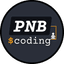 PNB Coding logo